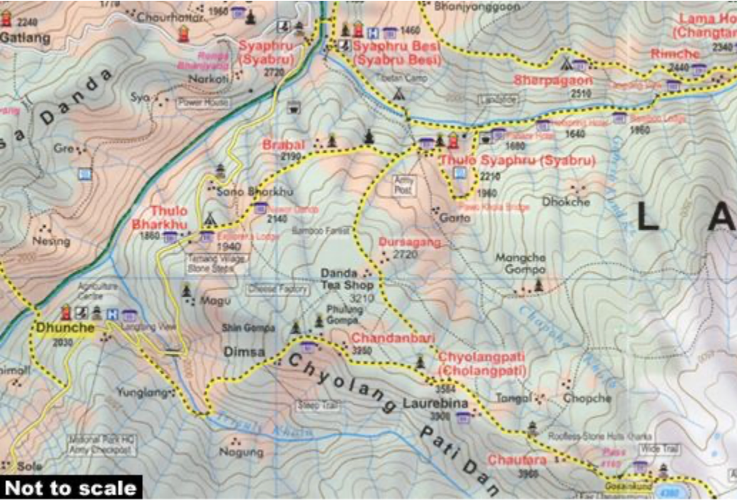 【T-MAPS】ナヤ・カンガ Naya Kanga Ganja La