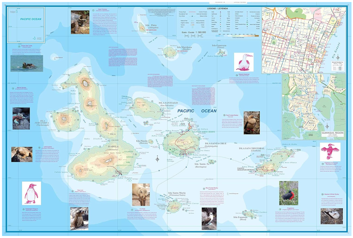 【T-MAPS】ガラパゴス諸島、キト&グアヤキル Galapagos Islands Quito & Guayaquil