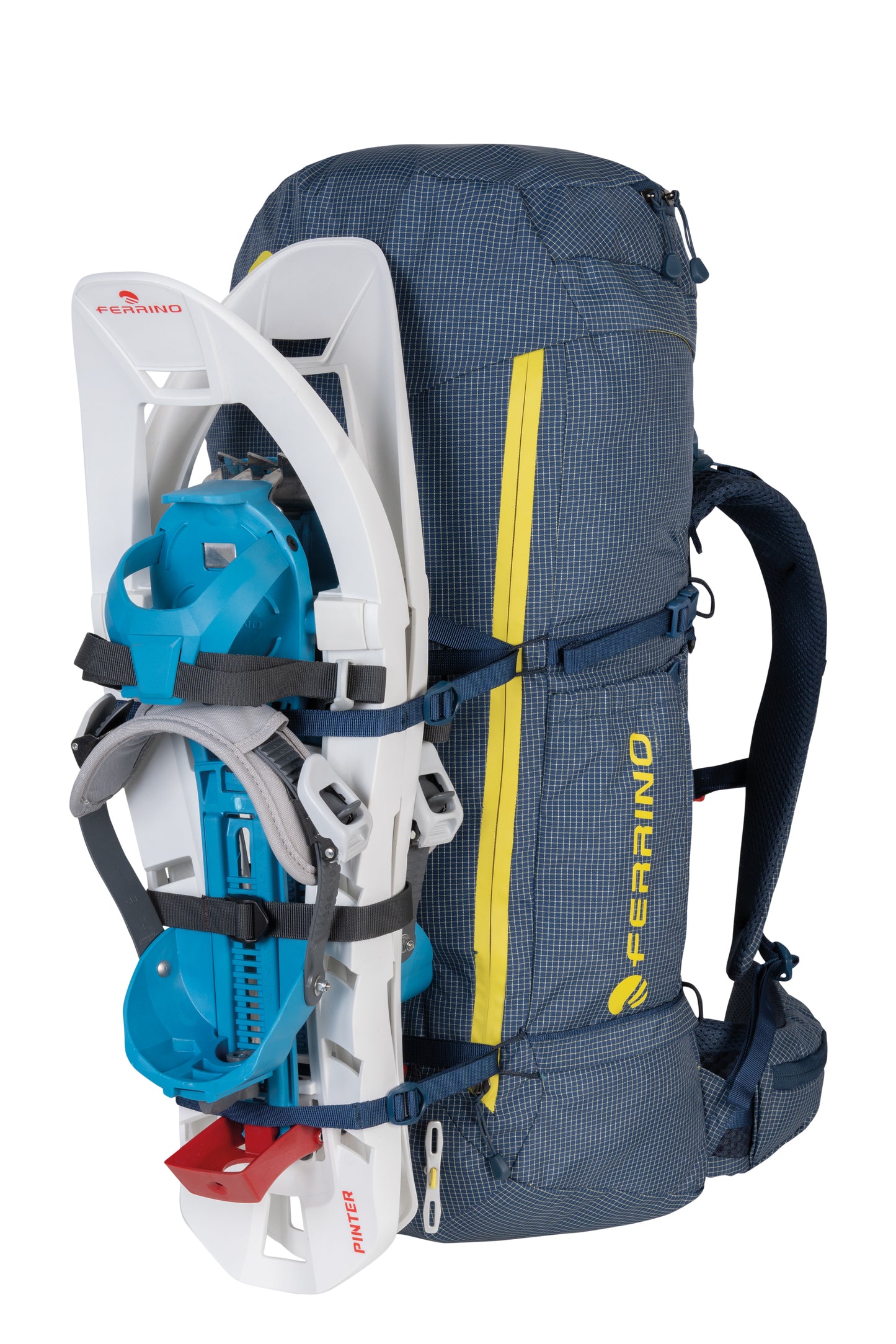 SUMMIT 48+5（サミット48+5 ）